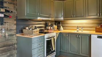 Fridge, oven, stovetop, dishwasher