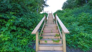 Una escalera de madera que asciende por una colina, rodeada de abundante follaje verde.