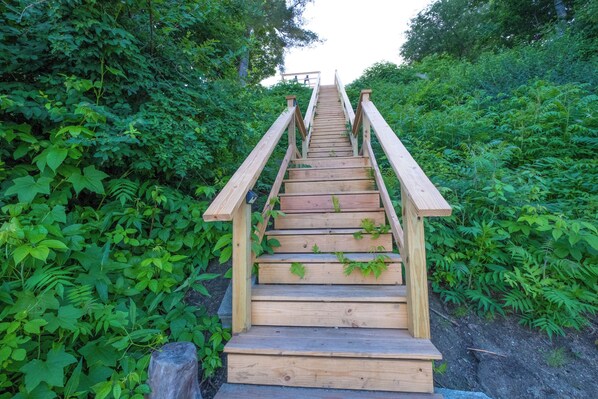 Una escalera de madera que asciende por una colina, rodeada de abundante follaje verde.