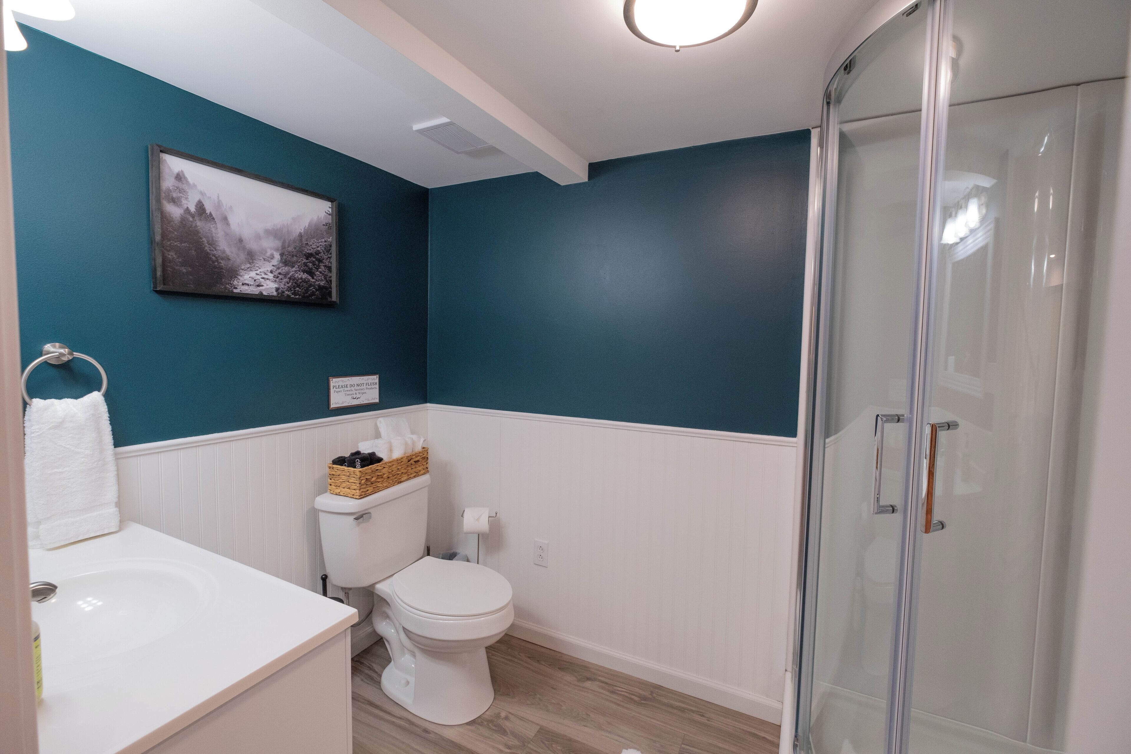 Ducha, secador de pelo, toallas, jabón