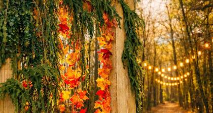 King Suite • Firepit • Dog Friendly • By Ft. Bragg