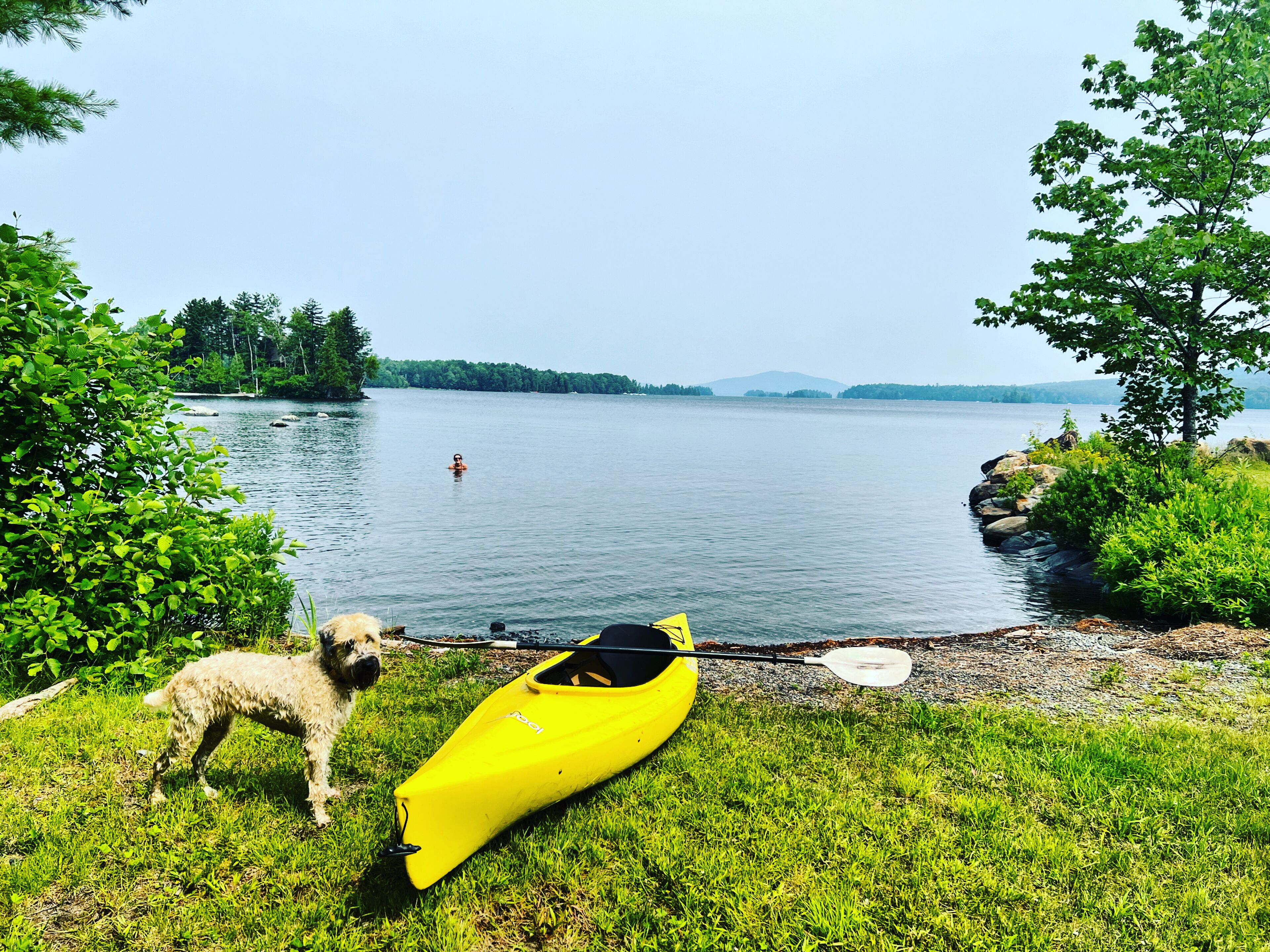 Une zone herbeuse au bord du lac, avec un kayak jaune et un chien.