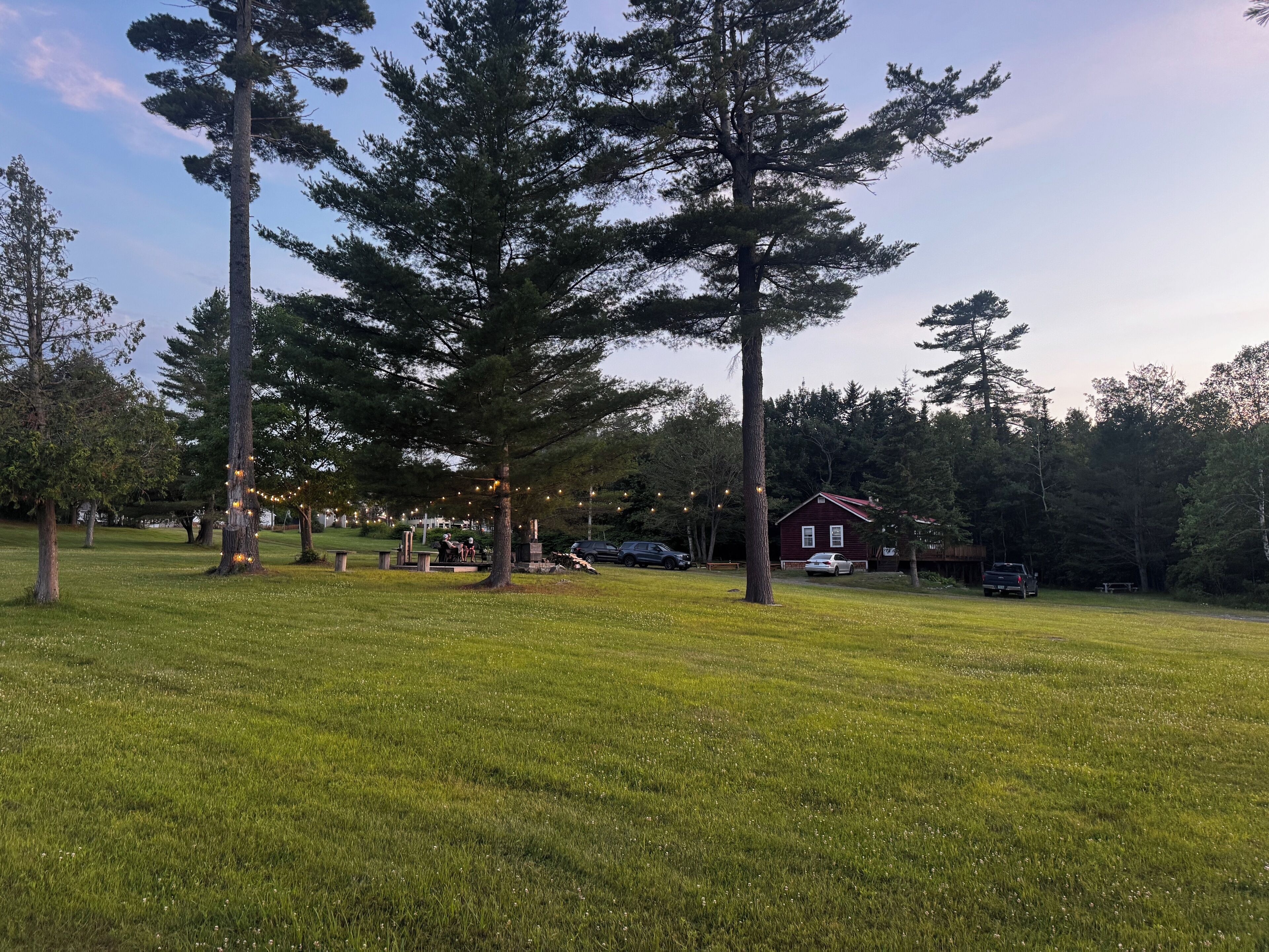 A grassy outdoor area with tall trees, a wooden cabin, and a picnic table.