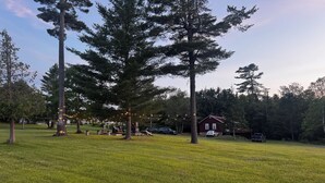 A grassy outdoor area with tall trees, a wooden cabin, and a picnic table.