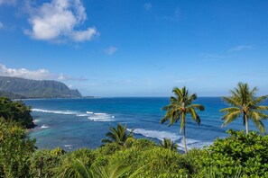 Beach nearby, sun-loungers, beach towels - PRIME MAJESTIC OCEAN AND MOUNTAIN VIEWS OF KAUAI'S NORTH SHORE (Princeville)
