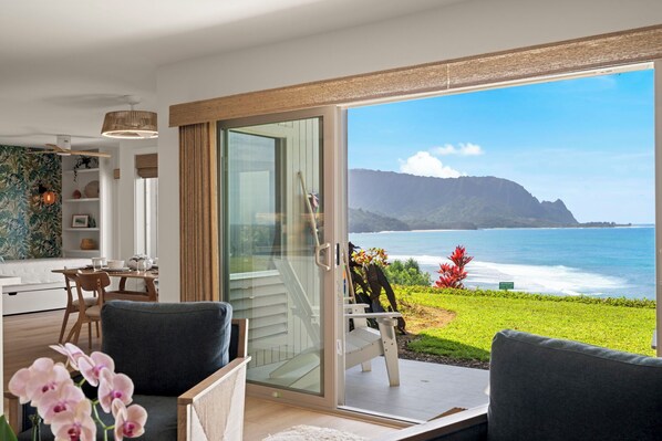 Smart TV, reproductor de DVD y libros 