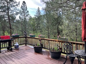 Terrain de l’hébergement 