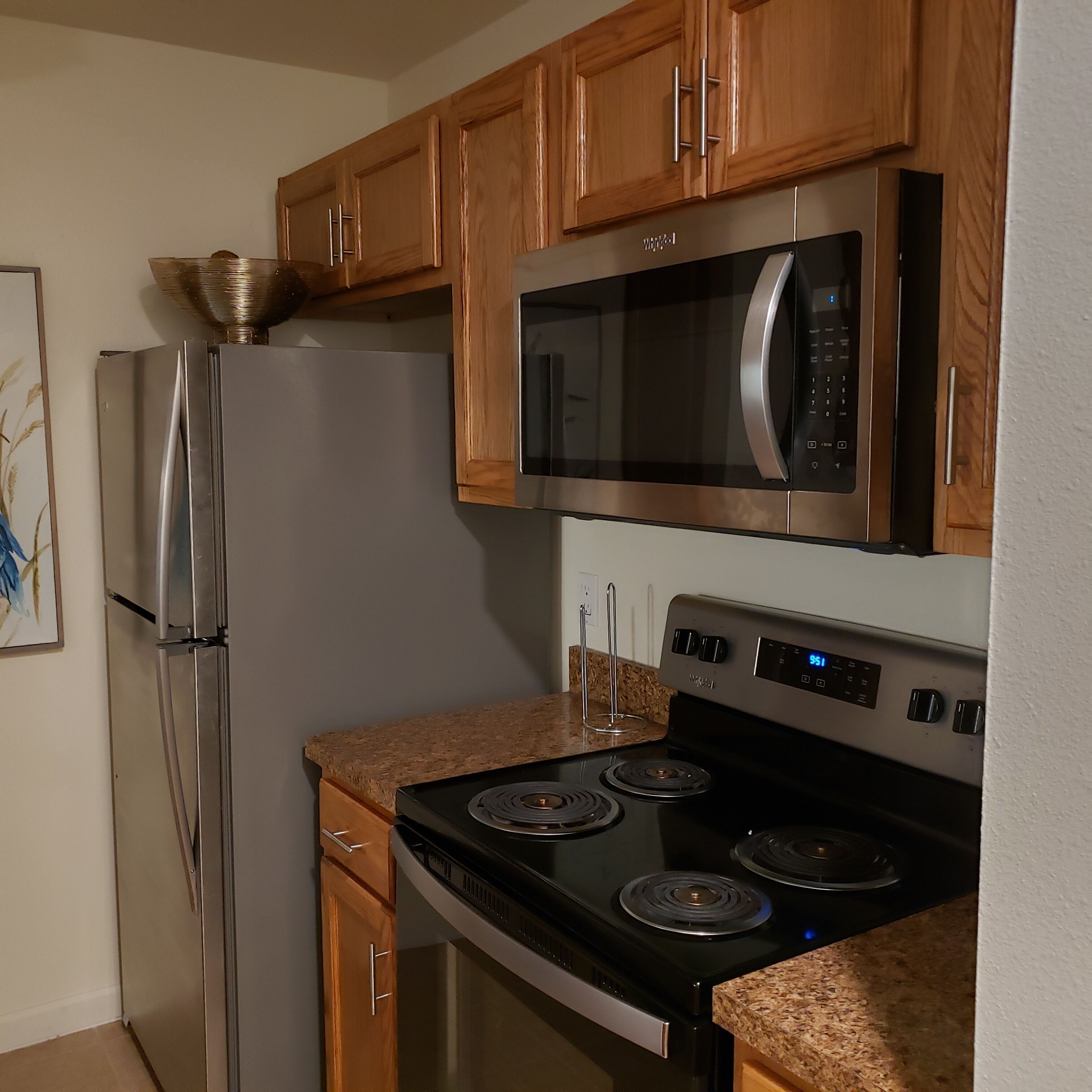 Frigorífico, microondas, horno y placa de cocina