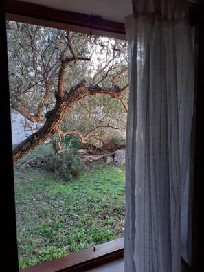 하우스 | 2 개의 침실