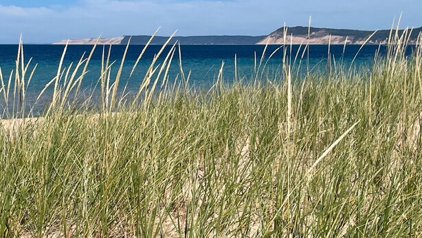 Un paysage côtier avec de hautes herbes au premier plan et une vue dégagée sur la mer et la terre au loin.