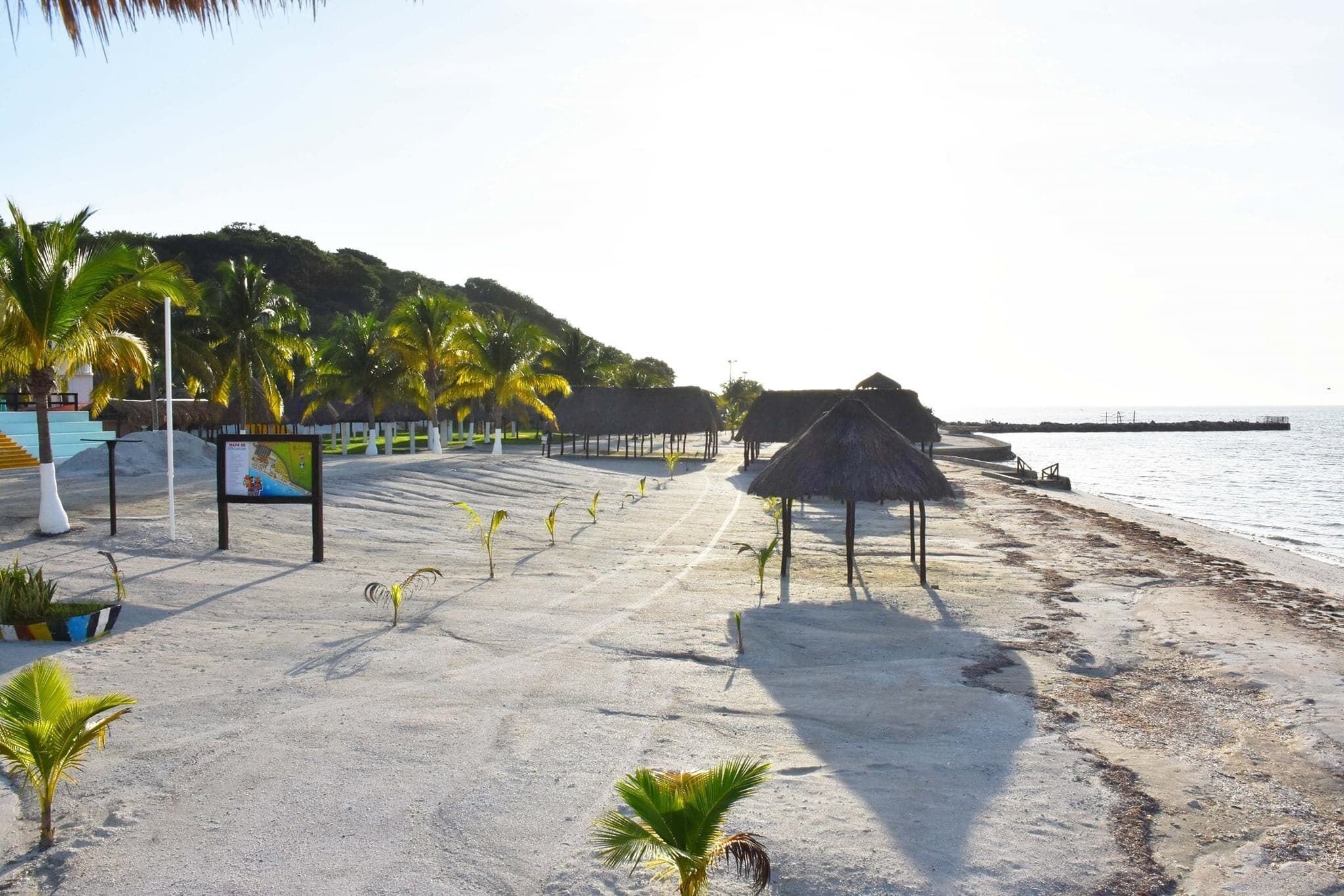 Ein Strand mit strohgedeckten Gebäuden, Palmen und freiem Blick auf das Meer.