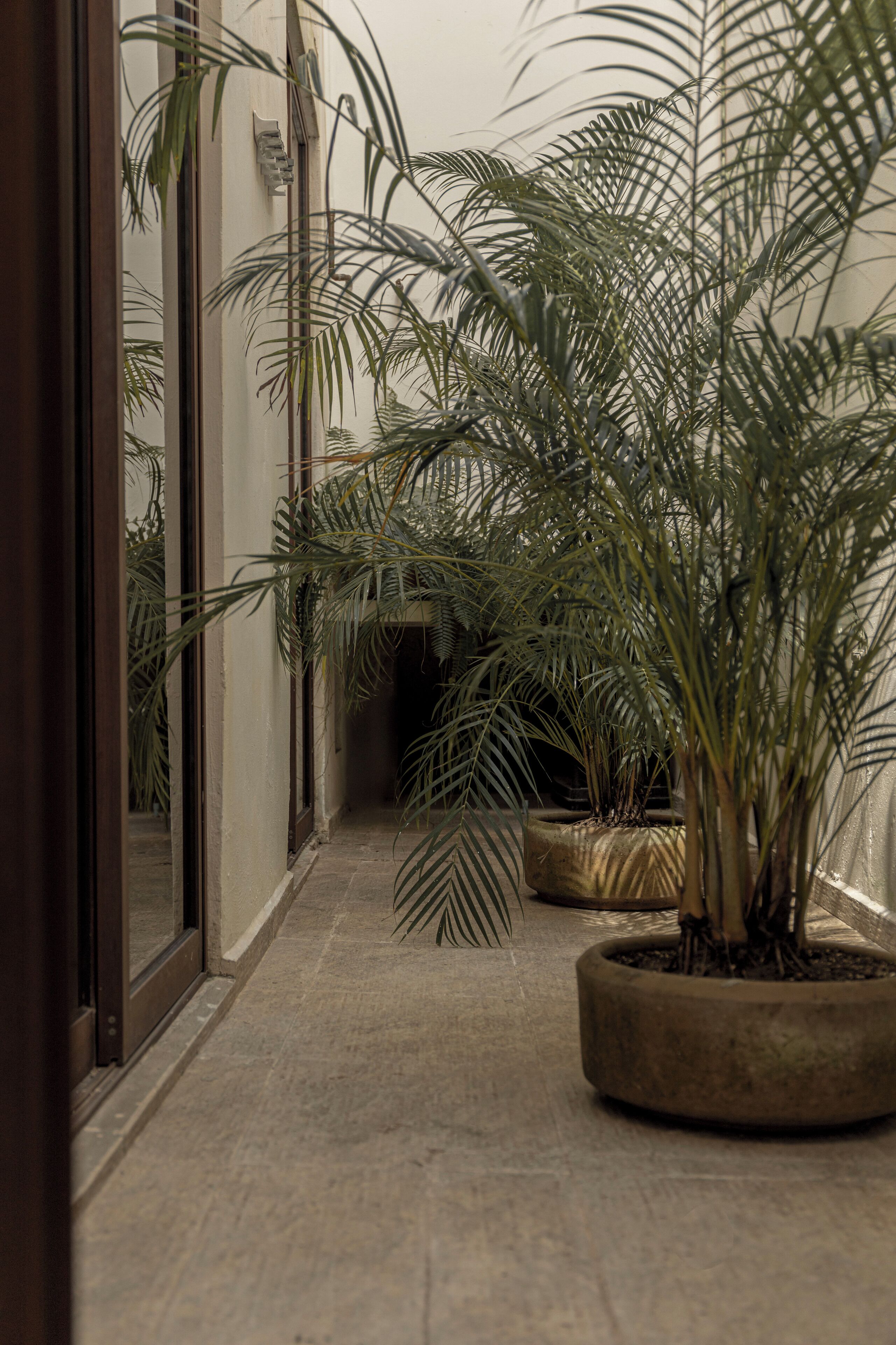Departamento | Vista al patio