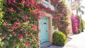En byggnad med en turkos dörr, rosa bougainvillea och en liten grön buske.