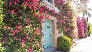 Details aan de buitenkant