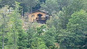 A cabin surrounded by dense forest, with a small dock extending into a body of water. - Dogs are family also 240° Lakefront View Spacious modern Family Retreat sleeps 8 (Crestline)