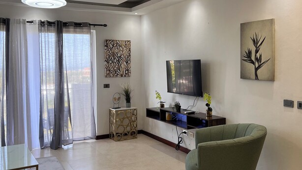 A modern living room with a flat-screen TV, a green armchair, and a decorative plant. - Luxury apartments  (La Romana)