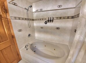Shower, jetted bath, hair dryer, towels - Beautiful house centrally located on .5 Acres (Roseville)