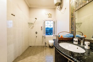 Hair dryer, towels, soap, shampoo