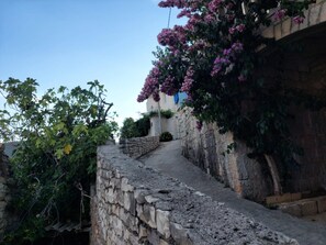 Apartment | Außenbereich