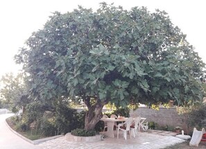 Apartment | 2 Schlafzimmer