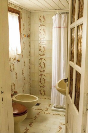 Hair dryer, bidet, towels, soap