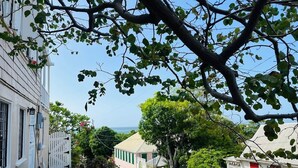 A narrow street with buildings on either side, a white fence, and a tree with green leaves. - Crucian Fusion: Historic charm meets lush beauty in a rare garden oasis in downtown Christiansted! (Christiansted)