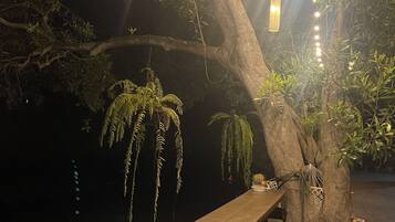 Standard Room | View from room