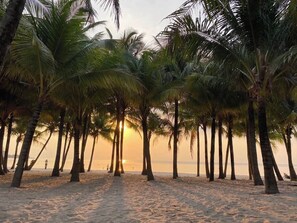Playa