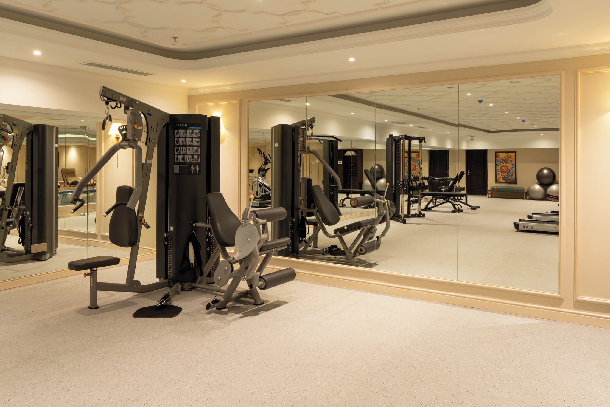 A well-equipped gym with various exercise machines, a mirror wall, and a clean, modern design.