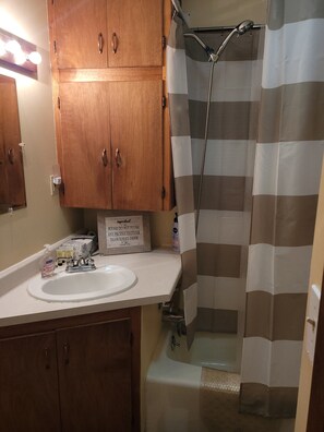 Hair dryer, towels, toilet paper