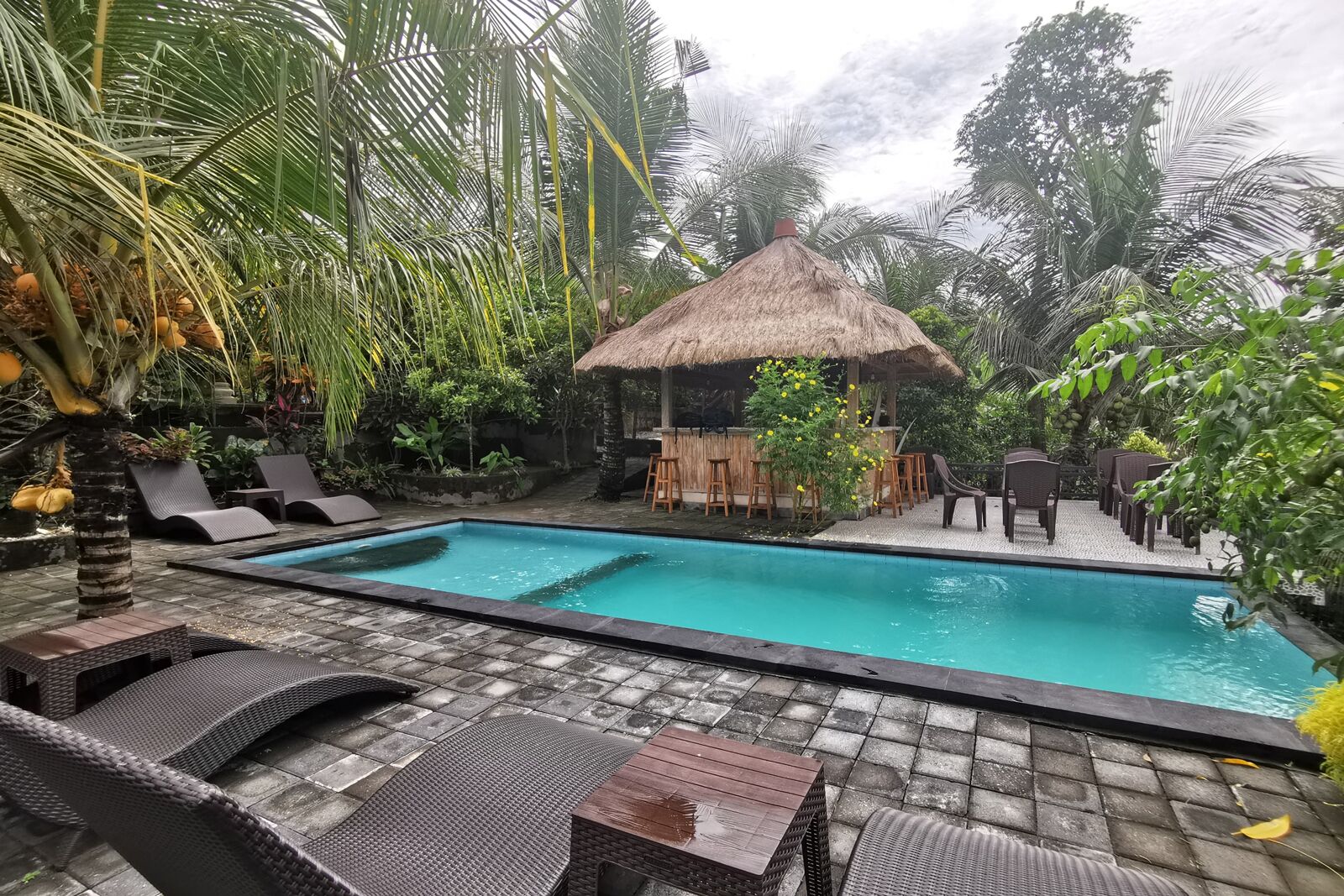 A pool area with lounge chairs, a thatched-roof structure, and tropical plants.
