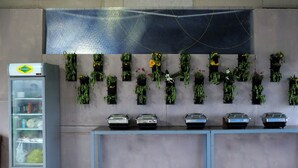 Una pared con múltiples macetas y un refrigerador.
