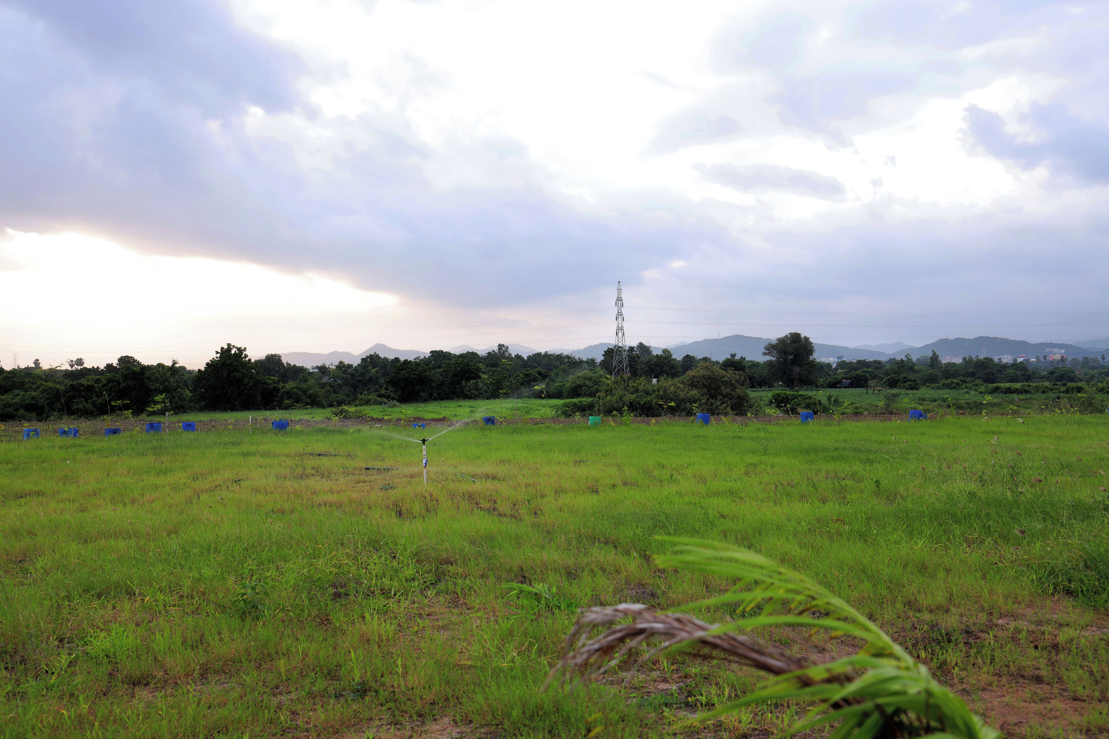 A grassy field with a water sprinkler in the foreground and a transmission tower in the distance.