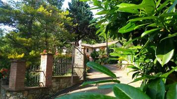 Áreas de la propiedad