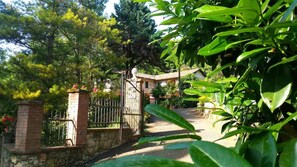 Área da propriedade