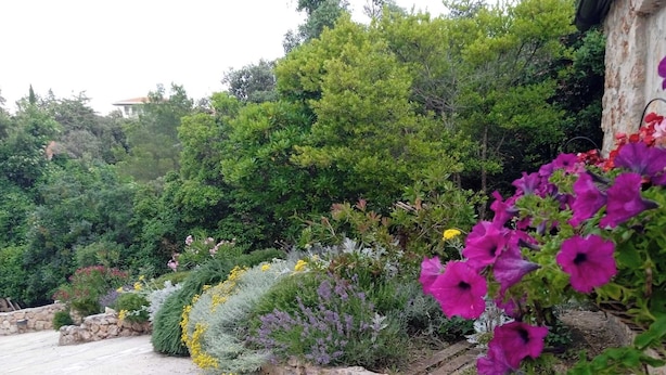 A garden with various plants and flowers, a stone wall, and a building in the background. - Lavender Hill Hvar (Stari Grad)
