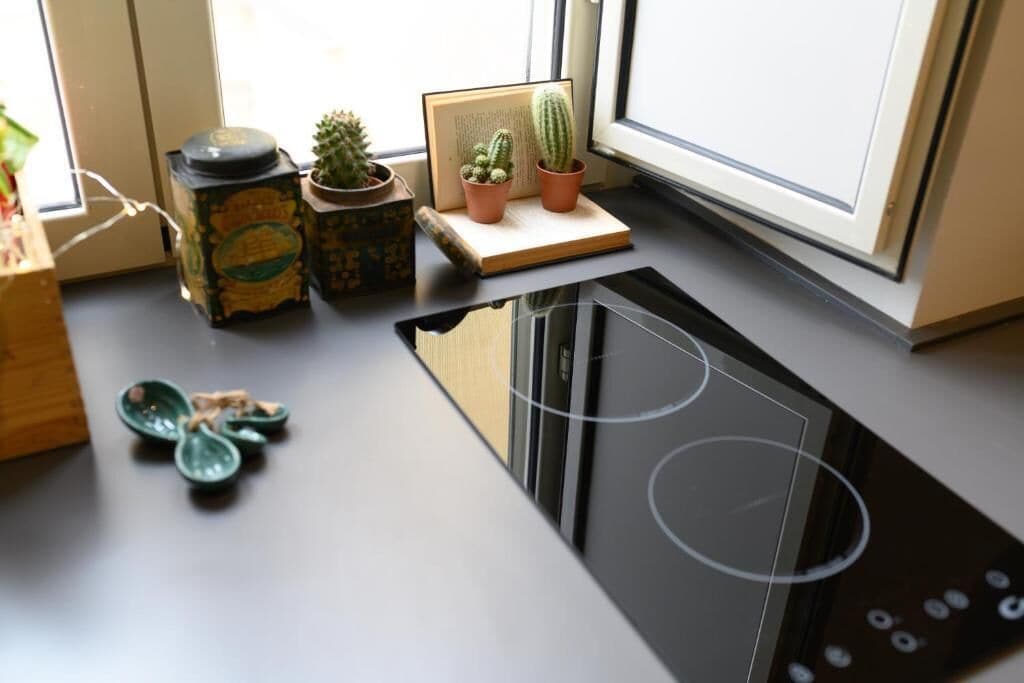 A kitchen with a black induction cooktop, a window, and various potted plants on the counter.