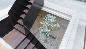 A modern interior with a staircase, a small tree, and a seating area. - 9ine Thamel Hotel (Kathmandu)