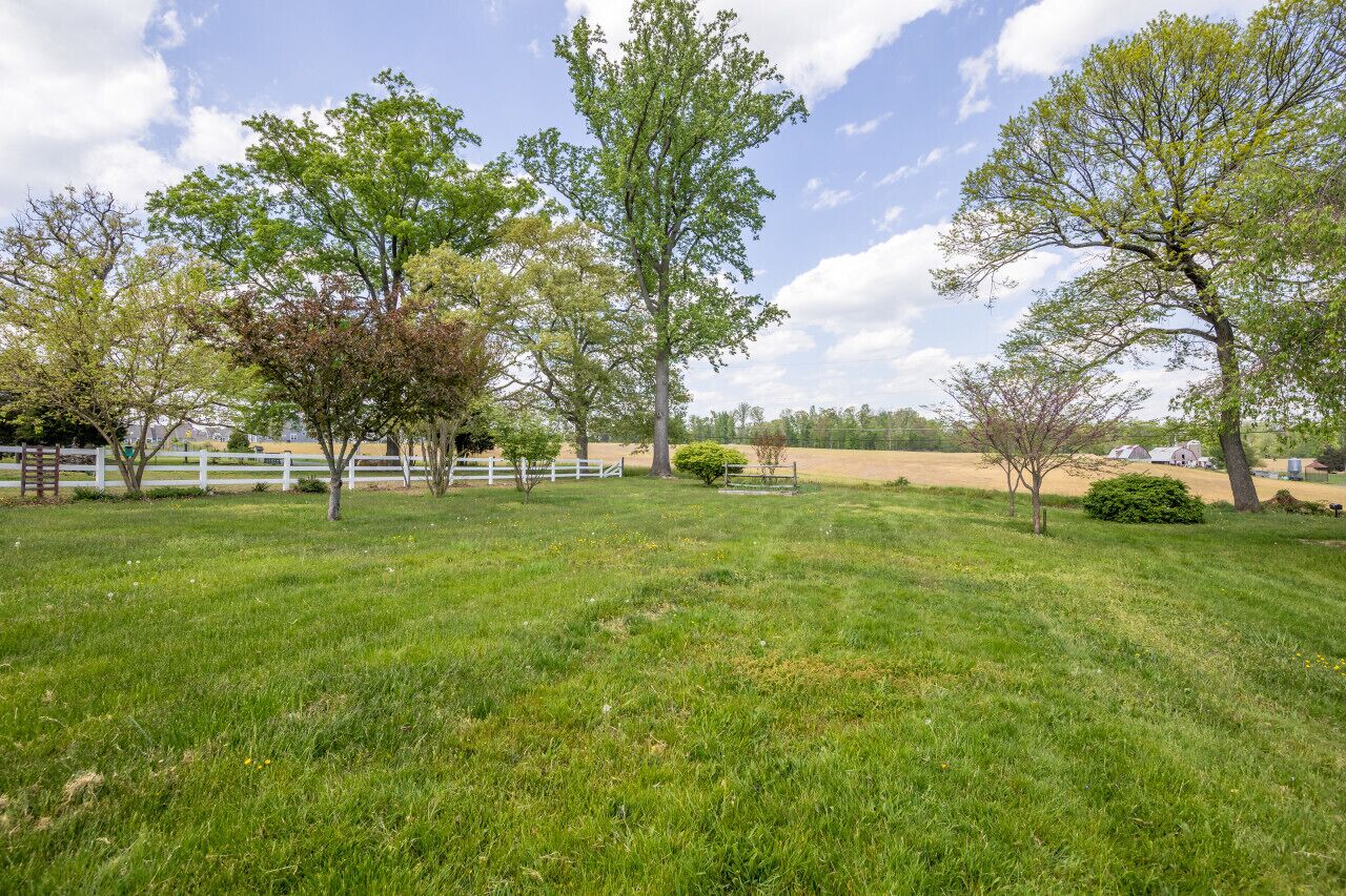 A grassy field with trees and a white fence.