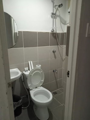 Shower, bidet, towels, soap