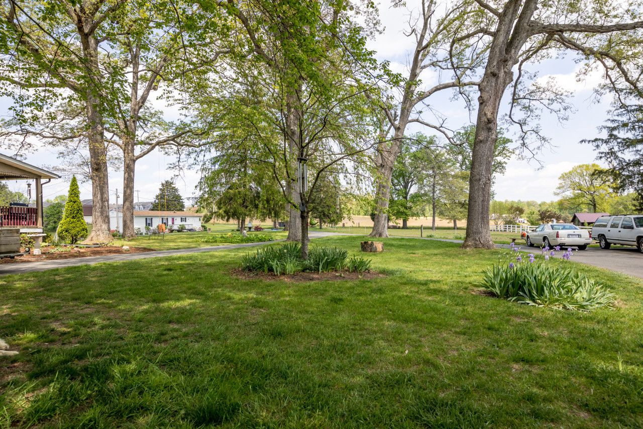 A residential area with a grassy lawn, trees, and parked cars.