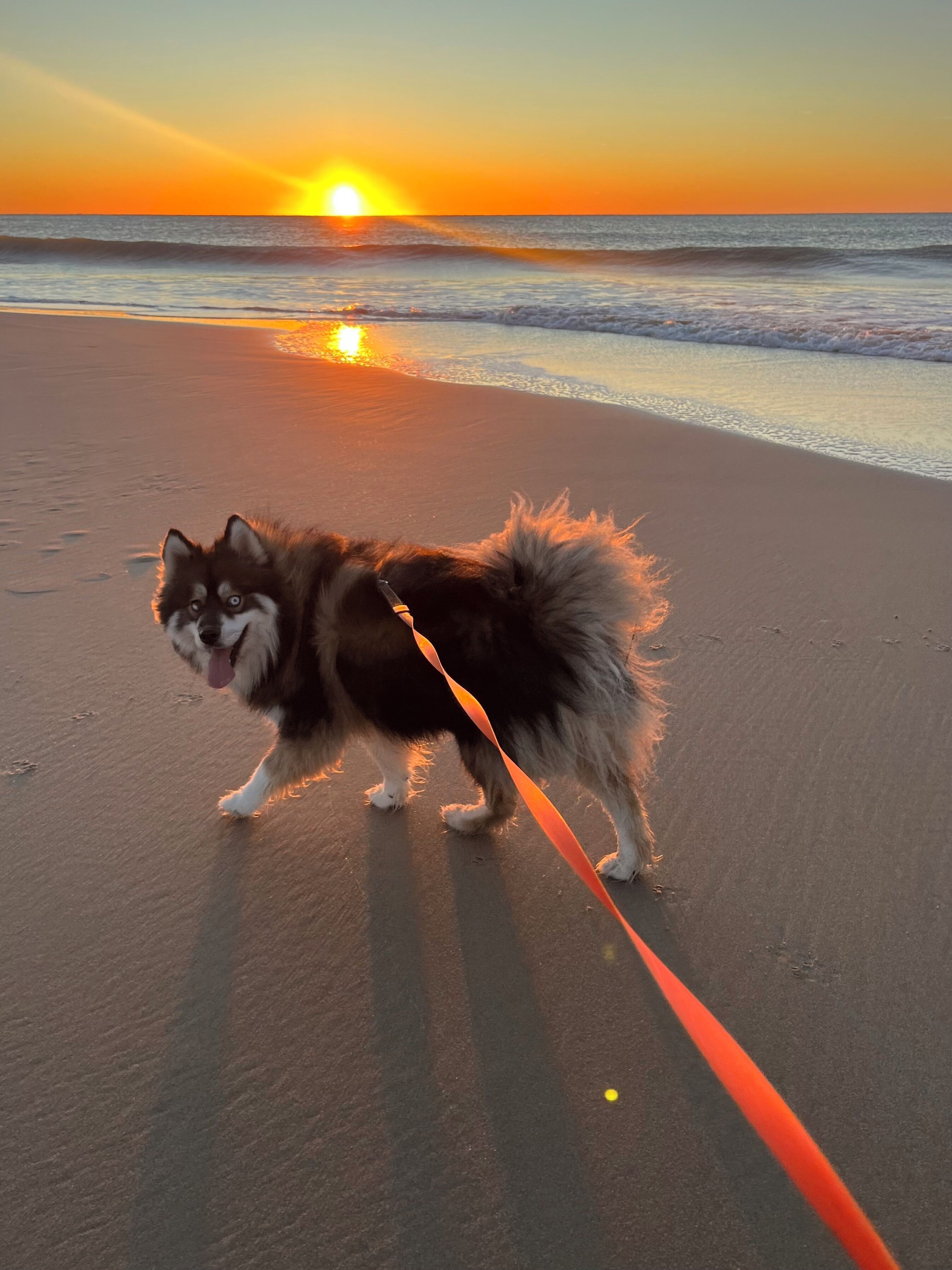 Strand
