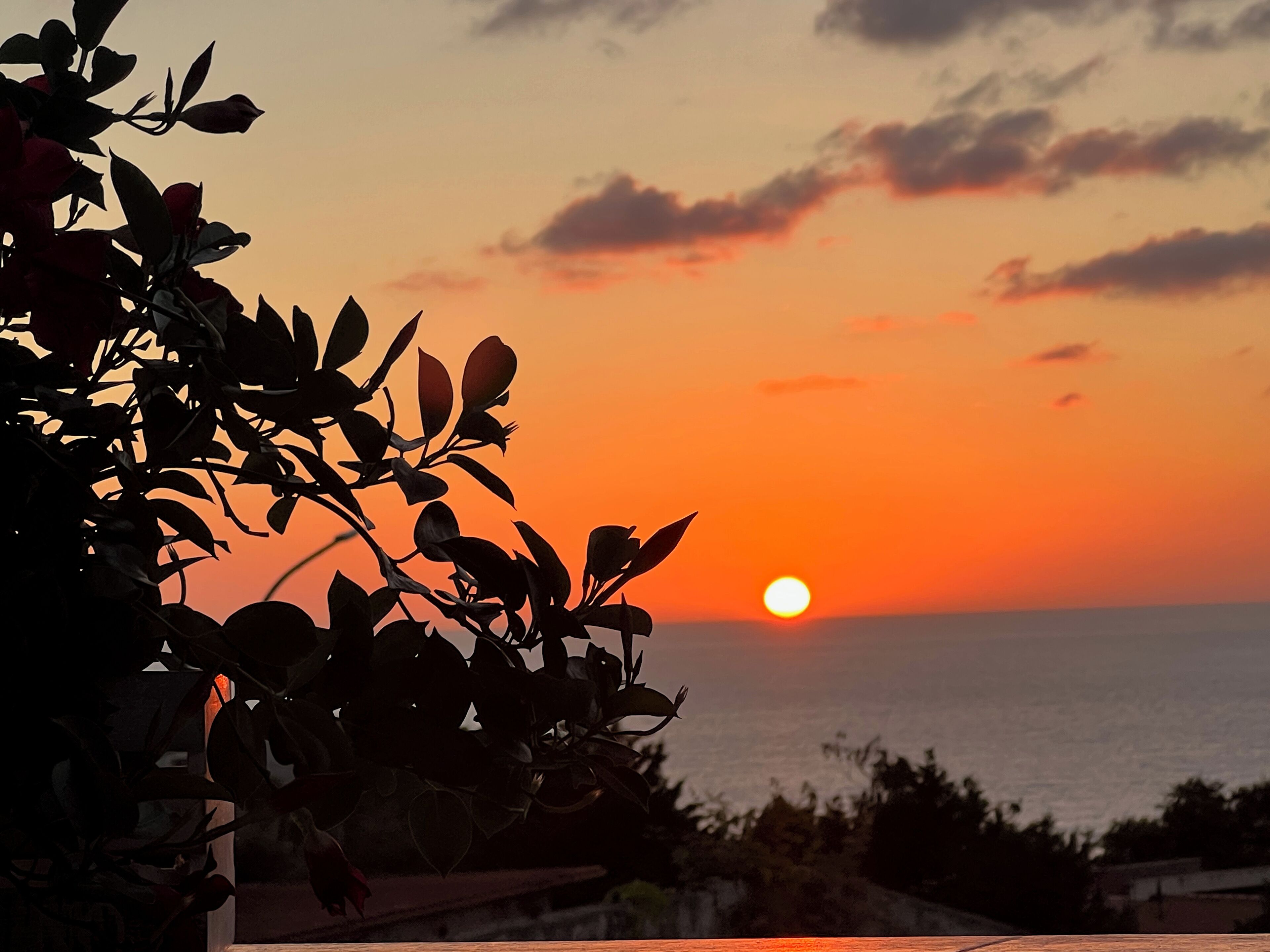 Foto - Kairos Tropea