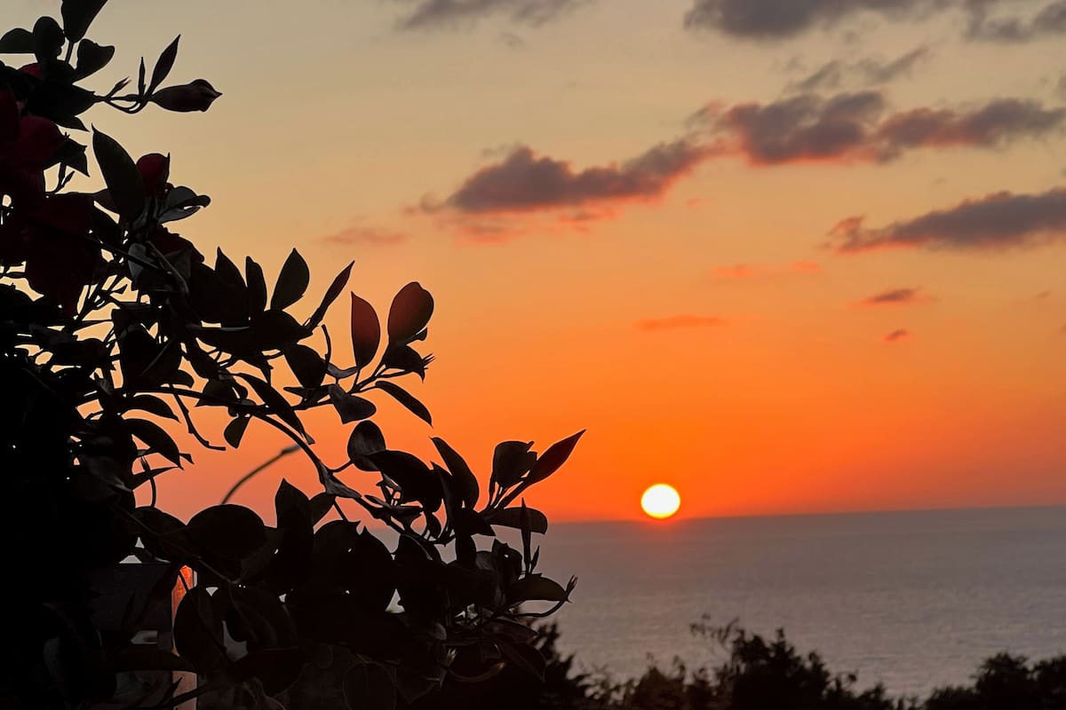 A sunset over the ocean with silhouettes of foliage in the foreground.
