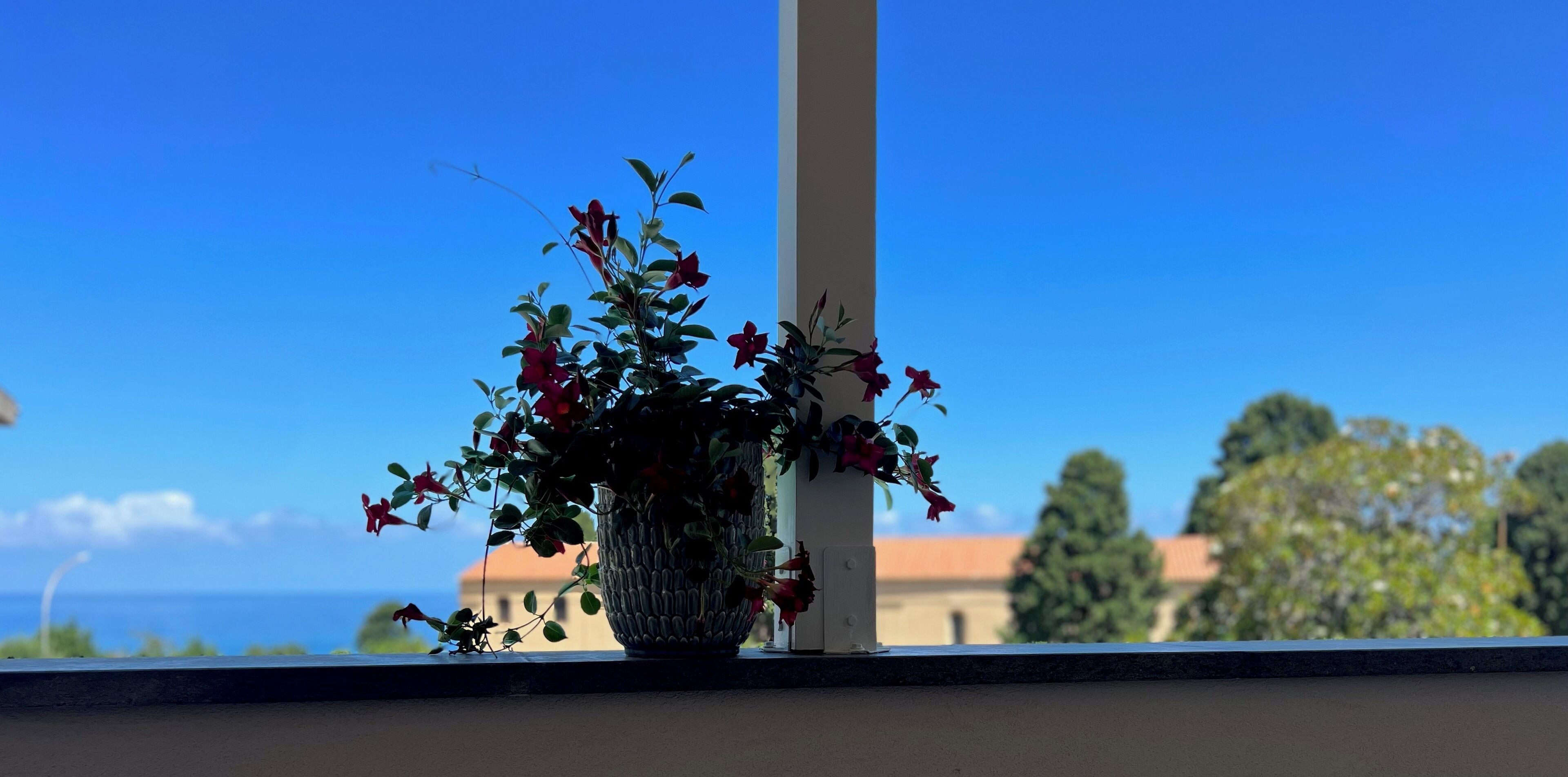 Foto - Kairos Tropea