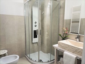 Shower, hair dryer, bidet, towels
