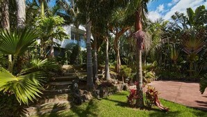 A lush garden with palm trees, a stone pathway, and a building in the background.