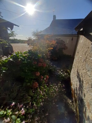 A garden area with flowering plants and a building with a sloped roof.
