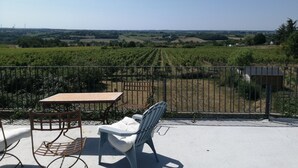 A terrace with a table and chairs, overlooking a vineyard. - Gîte with terrace and breathtaking view (Beaulieu-sur-Layon)