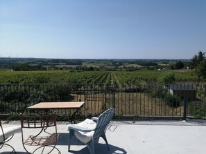 Une terrasse avec une table et des chaises, une vue sur un vignoble et une clôture en métal.